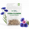 Corn Flower Seeds - 250 Seeds per Packet