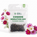 Cosmos Sensation Mix Flower Seeds - 400 Seeds per Packet