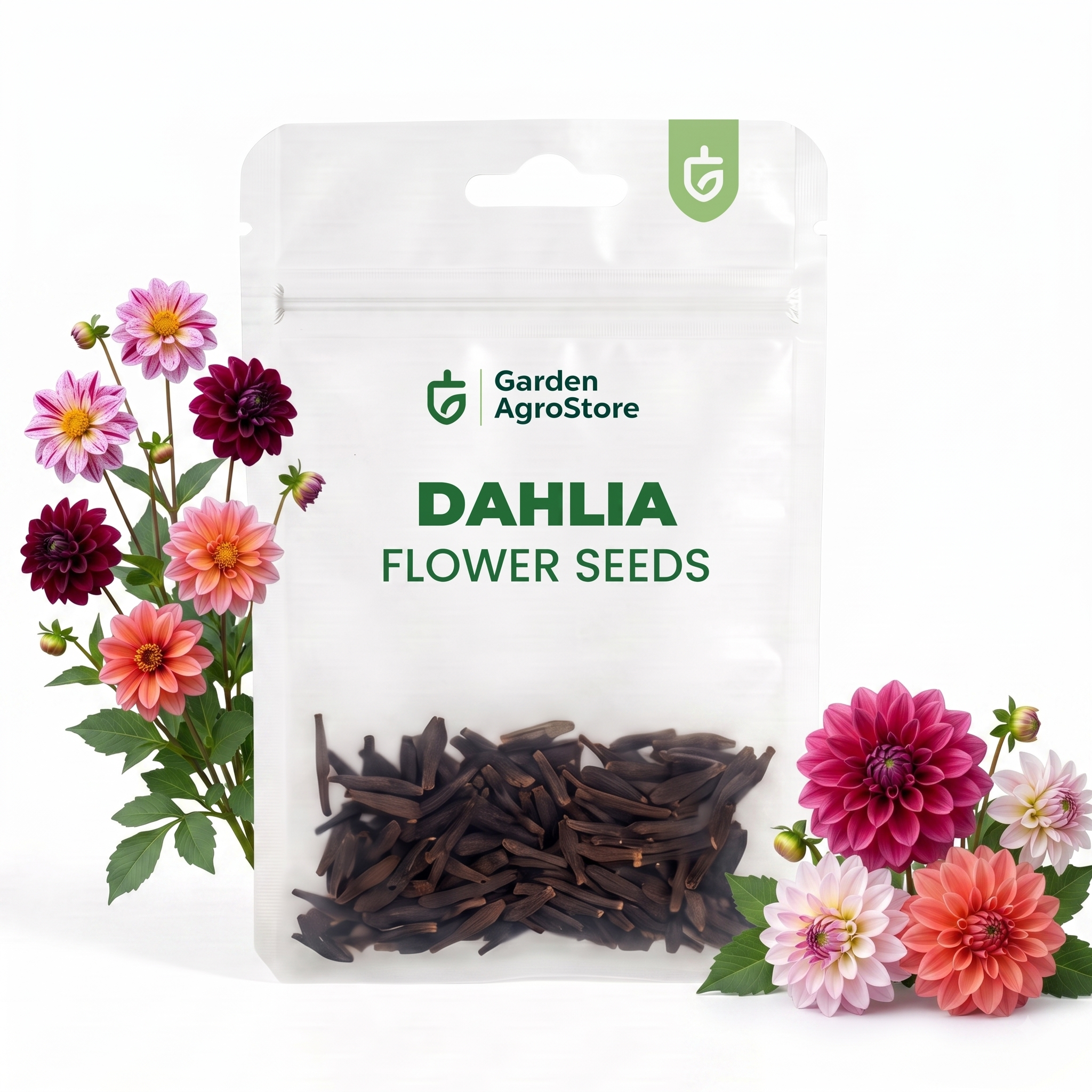 Dahlia Flower Seeds - 100 Seeds per Packet