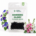 Morning Glory Flower Seeds - 175 Seeds per Packet