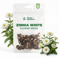 Zinnia White Flower Seeds - 250 Seeds per Packet